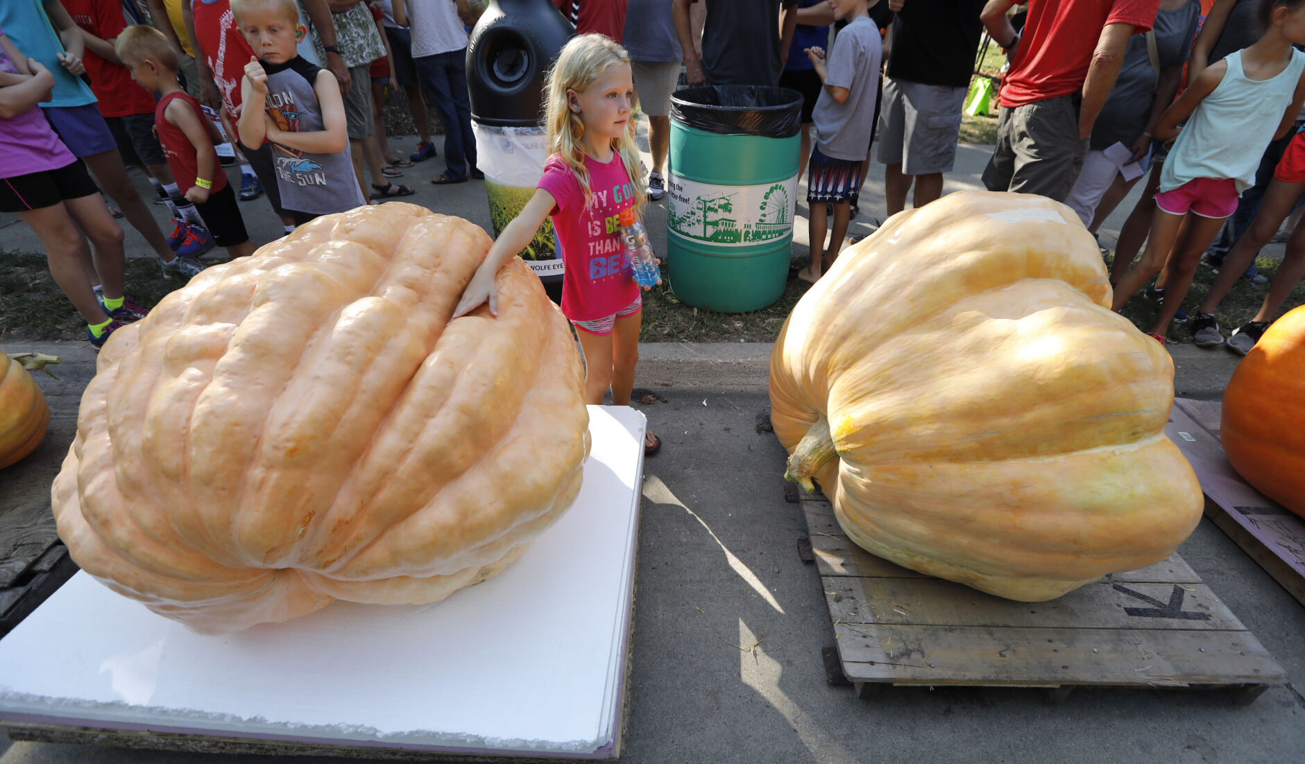 Iowa State Fair